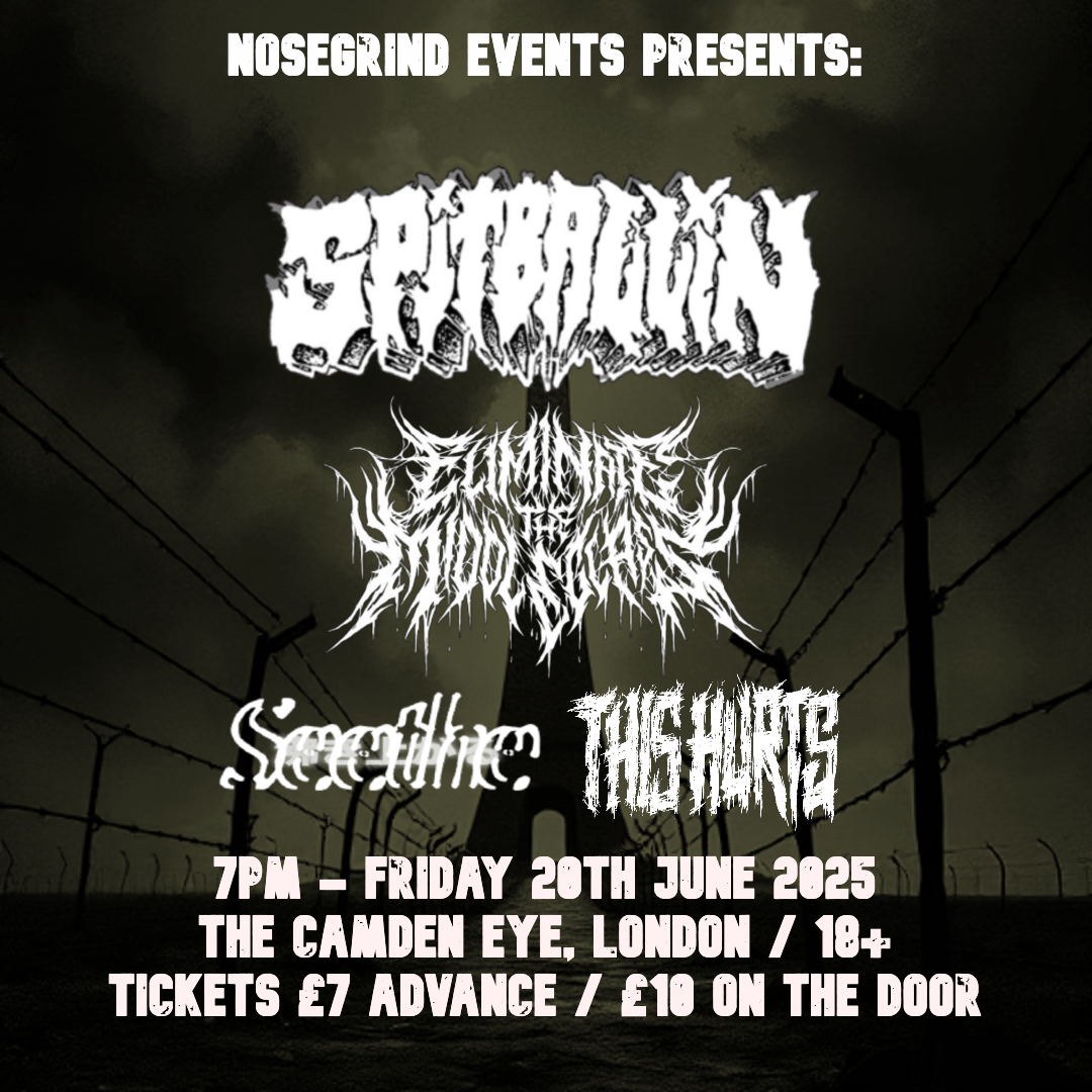 Flyer for the Spitballin / Eliminate The Middle Class / Seethe / Hearing Tests show