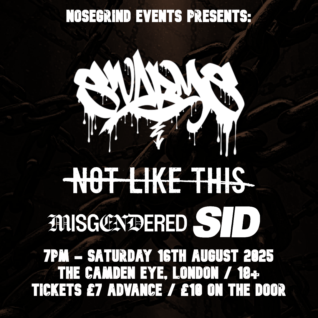 Flyer for the Swarms / Not Like This / Misgendered / Sid show